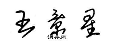 朱锡荣王景星草书个性签名怎么写