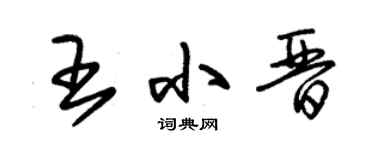 朱锡荣王小晋草书个性签名怎么写