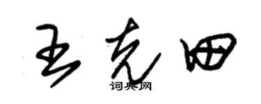 朱锡荣王克田草书个性签名怎么写