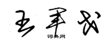 朱锡荣王军戈草书个性签名怎么写