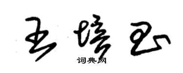 朱锡荣王培昌草书个性签名怎么写