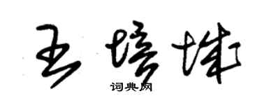 朱锡荣王培城草书个性签名怎么写