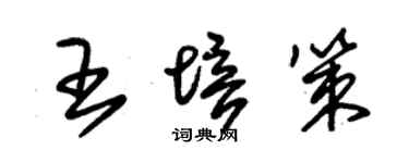 朱锡荣王培策草书个性签名怎么写
