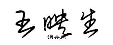 朱锡荣王映生草书个性签名怎么写