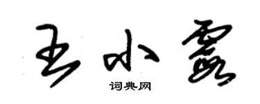 朱锡荣王小霞草书个性签名怎么写