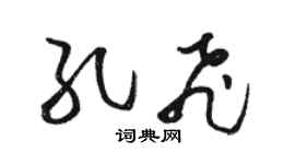 骆恒光孔飞草书个性签名怎么写