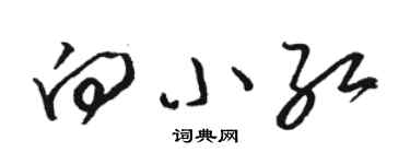 骆恒光向小红草书个性签名怎么写