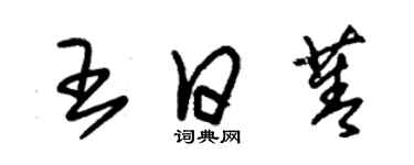 朱锡荣王日菁草书个性签名怎么写