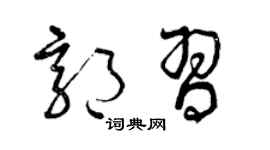 曾庆福郭习草书个性签名怎么写