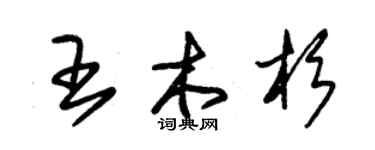 朱锡荣王木杉草书个性签名怎么写