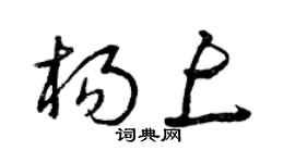 曾庆福杨上草书个性签名怎么写