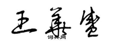 曾庆福王华盛草书个性签名怎么写