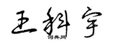曾庆福王科宇草书个性签名怎么写