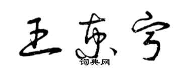 曾庆福王京宁草书个性签名怎么写