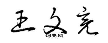曾庆福王文亮草书个性签名怎么写