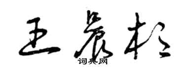 曾庆福王晨杉草书个性签名怎么写