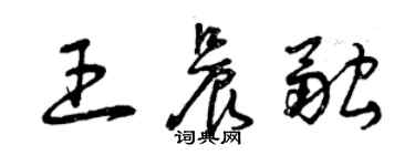 曾庆福王晨融草书个性签名怎么写
