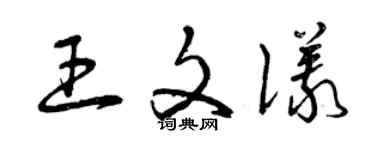 曾庆福王文仪草书个性签名怎么写