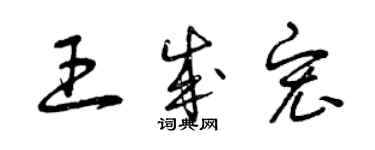曾庆福王成宏草书个性签名怎么写