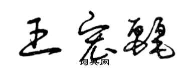 曾庆福王宏丽草书个性签名怎么写