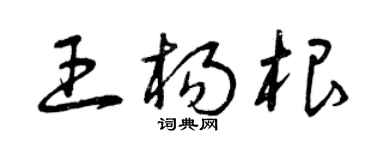 曾庆福王杨根草书个性签名怎么写