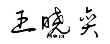 曾庆福王晓奕草书个性签名怎么写