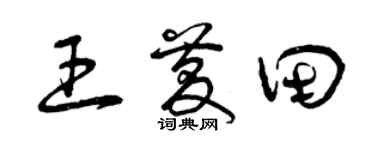 曾庆福王庆田草书个性签名怎么写