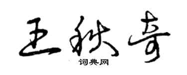 曾庆福王秋奇草书个性签名怎么写