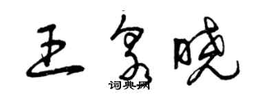 曾庆福王泉晓草书个性签名怎么写