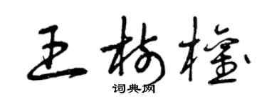 曾庆福王树权草书个性签名怎么写