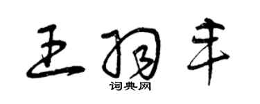 曾庆福王羽丰草书个性签名怎么写