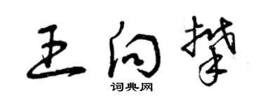 曾庆福王向攀草书个性签名怎么写