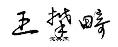 曾庆福王攀畸草书个性签名怎么写