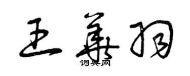 曾庆福王华羽草书个性签名怎么写