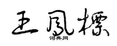 曾庆福王凤标草书个性签名怎么写