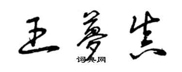 曾庆福王梦真草书个性签名怎么写