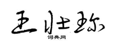 曾庆福王壮珍草书个性签名怎么写
