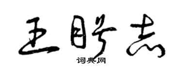 曾庆福王盼志草书个性签名怎么写