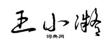 曾庆福王小凝草书个性签名怎么写