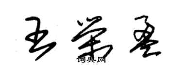 朱锡荣王荣盈草书个性签名怎么写