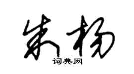 朱锡荣朱杨草书个性签名怎么写