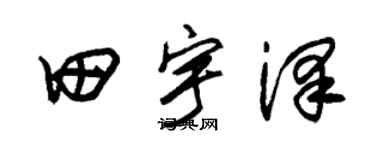 朱锡荣田宇泽草书个性签名怎么写