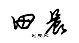 朱锡荣田晨草书个性签名怎么写