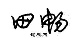 朱锡荣田畅草书个性签名怎么写