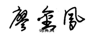 朱锡荣廖金凤草书个性签名怎么写