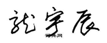 朱锡荣龙宇辰草书个性签名怎么写