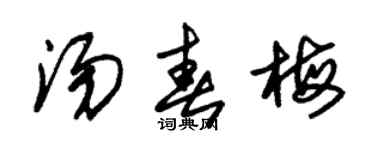 朱锡荣汤春梅草书个性签名怎么写