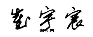 朱锡荣崔宇宸草书个性签名怎么写