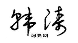 曾庆福韩涛草书个性签名怎么写