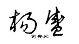 曾庆福杨盛草书个性签名怎么写